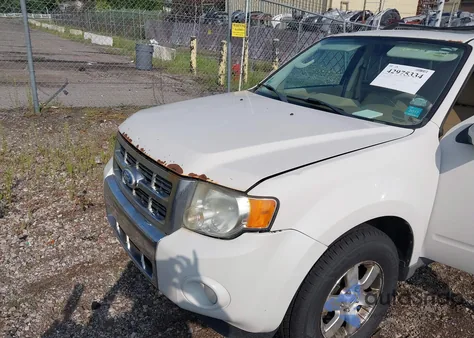 2010 Ford Escape Limited z USA, uszkodzony, nr VIN 1FMCU0E78AKB10416